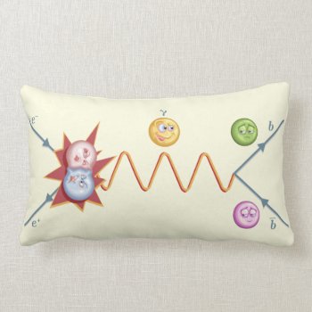 Silly Feynman Diagram Lumbar Pillow by raginggerbils at Zazzle