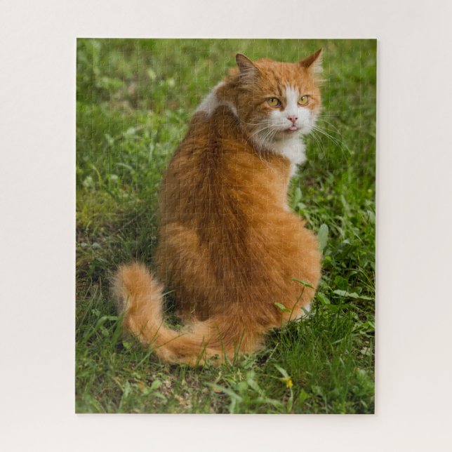 Silly Fluffy Orange Long haired Tabby Cat Jigsaw Puzzle (Vertical)