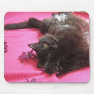 silly gal mouse pad