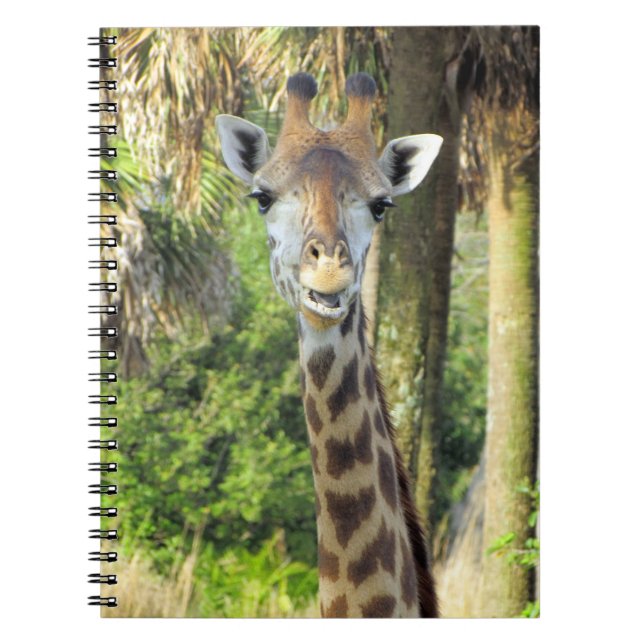 Silly Giraffe - 6.5 x 8.75 Notebook (Front)