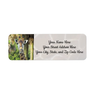 Silly Giraffe Address Labels