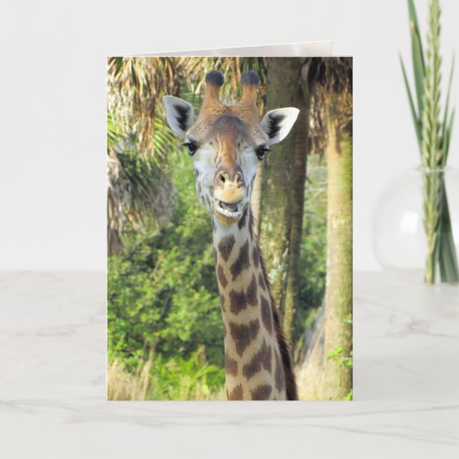 Silly Giraffe Greeting Card (Front)