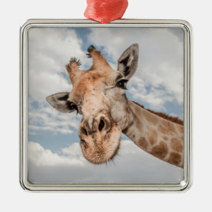 Silly Giraffe Metal Ornament