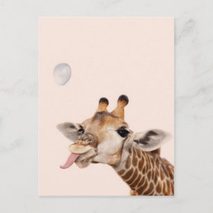 Silly Giraffe Postcard