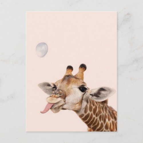 Silly Giraffe Postcard