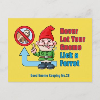 Silly Gnome And Ferret Postcard by Iantos_Place at Zazzle