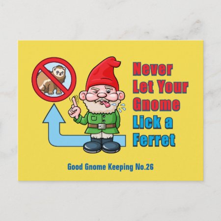 Silly Gnome And Ferret Postcard