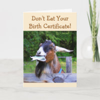 Silly Goat Birthday