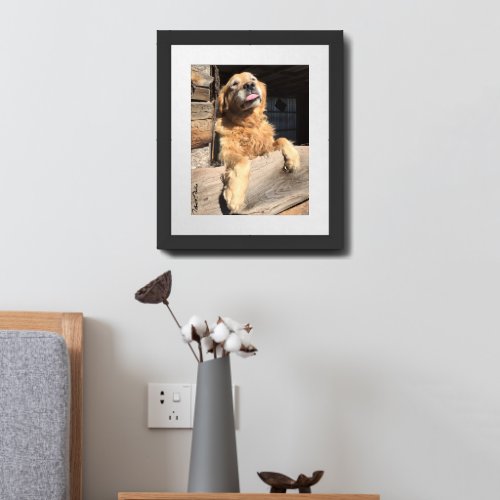 Silly Golden Retriever Photograph Framed Art