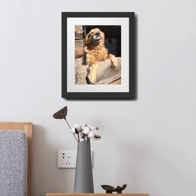 Silly Golden Retriever Photograph Framed Art (Bedside)