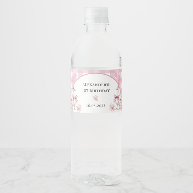 Silly Goose 1st Birthday Party  Water Bottle Label (Front)