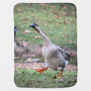 Silly goose baby blanket