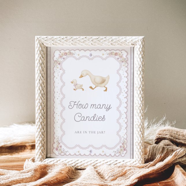 Silly Goose Baby Shower Guess How Many Candies Poster (Creator Uploaded)