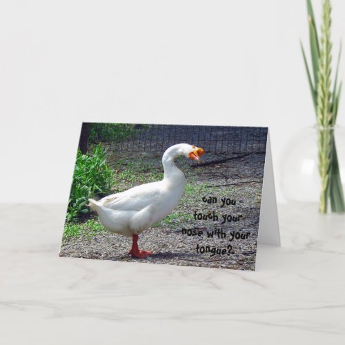 Silly Goose Birthday Greeting Card