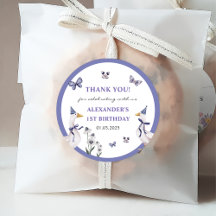 Silly Goose Birthday Party