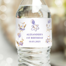 Silly Goose Birthday Party