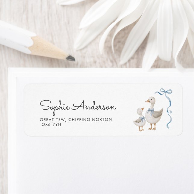 Silly Goose Boy Baby Shower Address Label (Insitu)