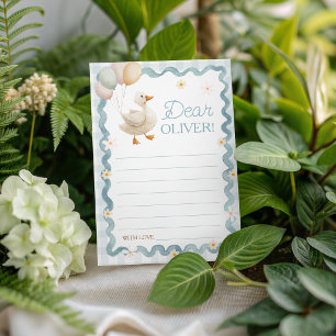 Silly Goose Farmhouse Birthday Time Capsule Invitation