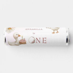 Silly Goose Flower Garden Mushroom 1st Birthday Breath Savers® Mints