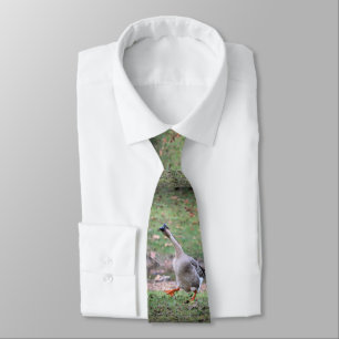 Silly goose neck tie