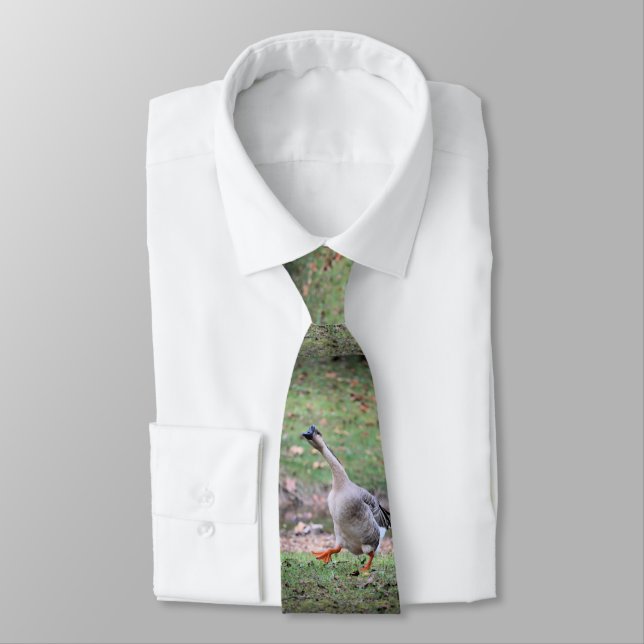 Silly goose  neck tie (Tied)