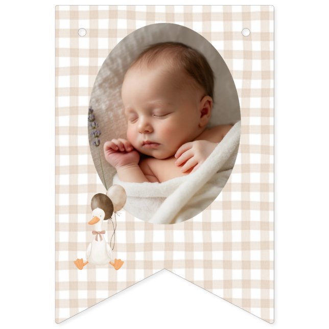 Silly Goose One Year Photo bunting banner (First Flag)