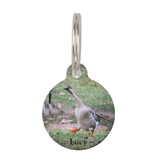 Silly Goose Pet ID Tag