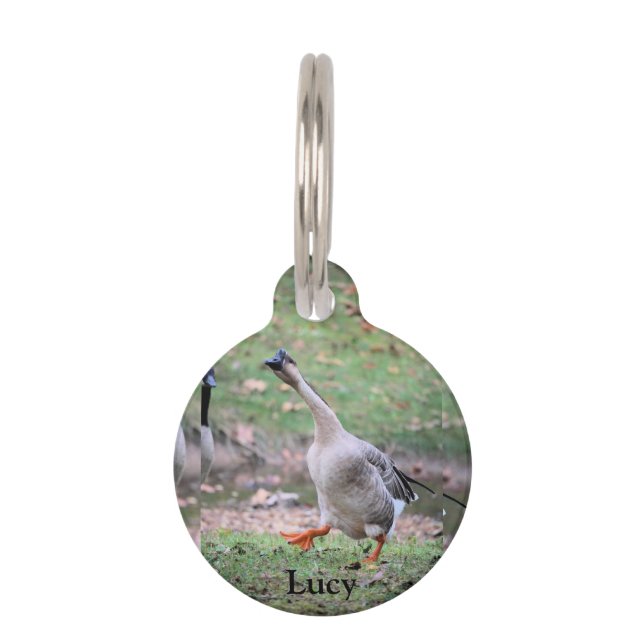 Silly Goose Pet ID Tag (Front)