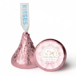 Silly Goose Pink Gingham Bow Baby Shower Hershey®'s Kisses®