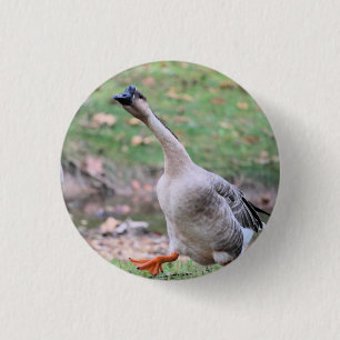 Silly goose   silver plated necklace button
