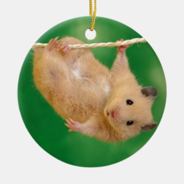 silly hampster ceramic ornament (Front)