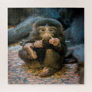 Silly Little Monkey Jigsaw Puzzle
