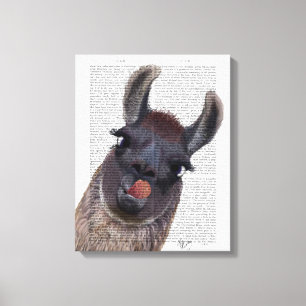 Silly Llama Canvas Print