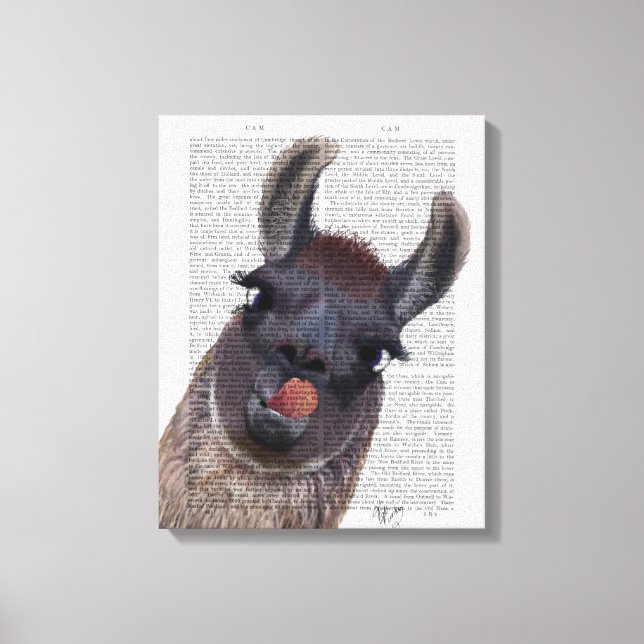 Silly Llama Canvas Print (Front)