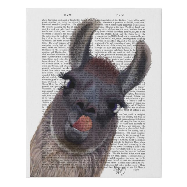 Silly Llama Faux Canvas Print (Front)