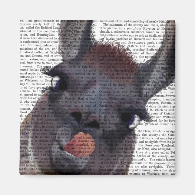 Silly Llama Magnet (Front)