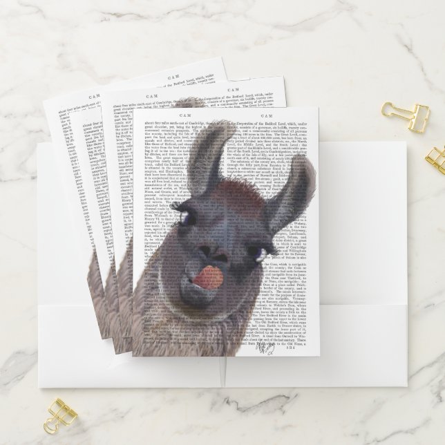 Silly Llama Pocket Folder (In Situ)