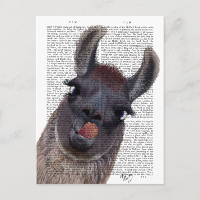 Silly Llama Postcard (Front)
