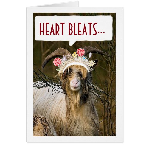 SILLY LOVING GOAT ONLY HAS EYES FOR YOU LOVE CARD