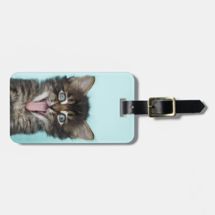 Silly Merlin Kitten Bag Tag