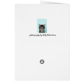 Silly Merlin Kitten Card (Back)