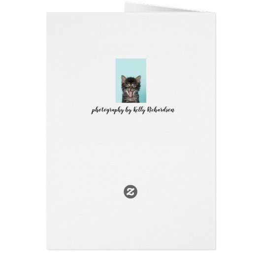 Silly Merlin Kitten Card (Back)