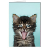 Silly Merlin Kitten Card (Front)