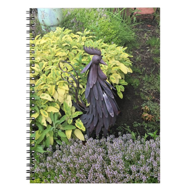 Silly Metal Rooster Notebook (Front)