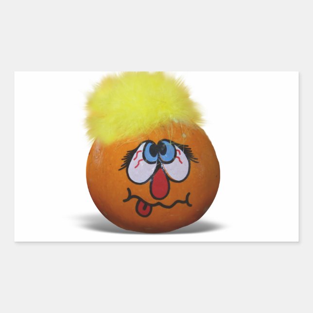 Silly Mini Pumpkin Face Rectangular Sticker (Front)