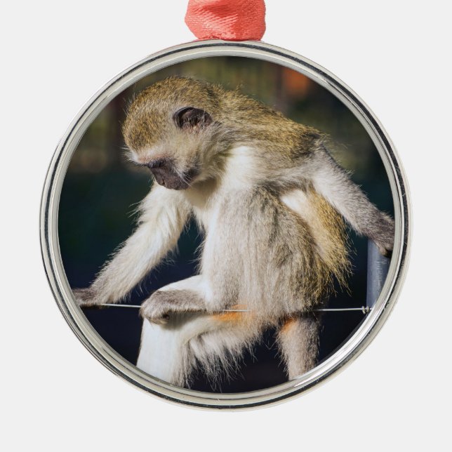 Silly Monkey Metal Ornament (Front)