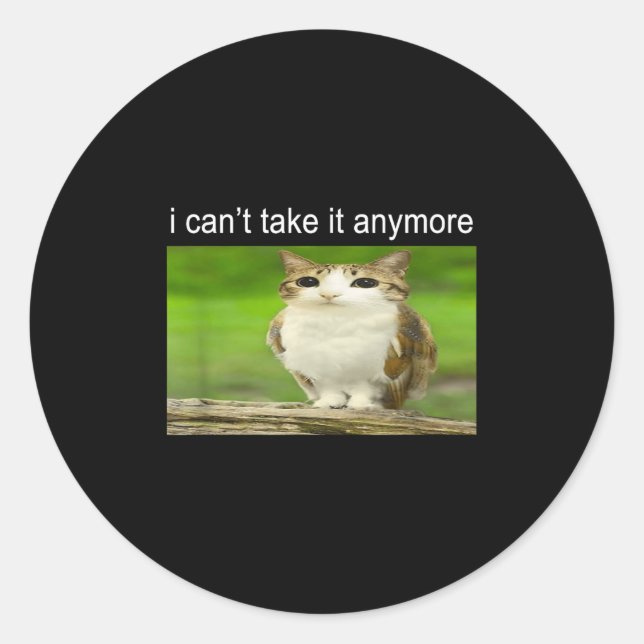 Silly Owl Cat Meme I Can't Take It Anymore  Classic Round Sticker (Front)