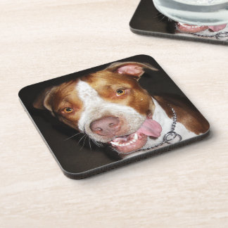 Silly Pitbull Portrait Beverage Coaster