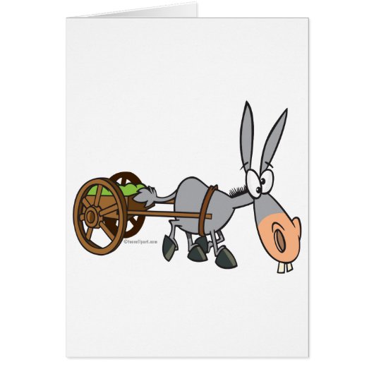 silly plodding donkey mule cartoon cards (Front)