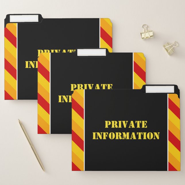 Silly "PRIVATE INFORMATION" File Folder Set (Set)